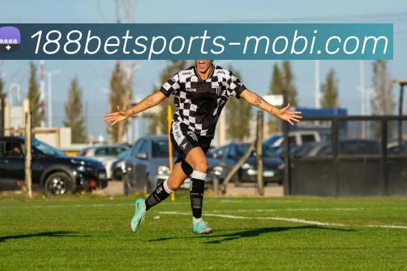 188bet体育平台生态图