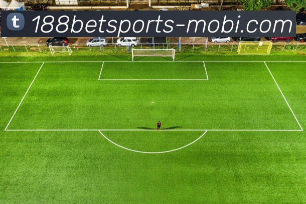 数据防护可视化